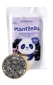 Plantzelki-Jezynowa-panda-262436-800x1280-nobckgr.webp